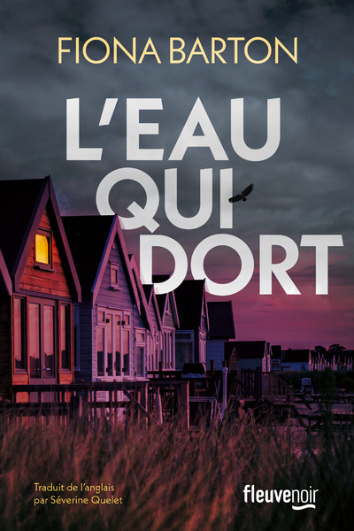 Buch L'eau qui dort Fiona Barton