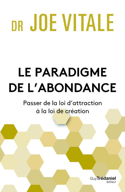Buch Le paradigme de l¿abondance Joe Vitale
