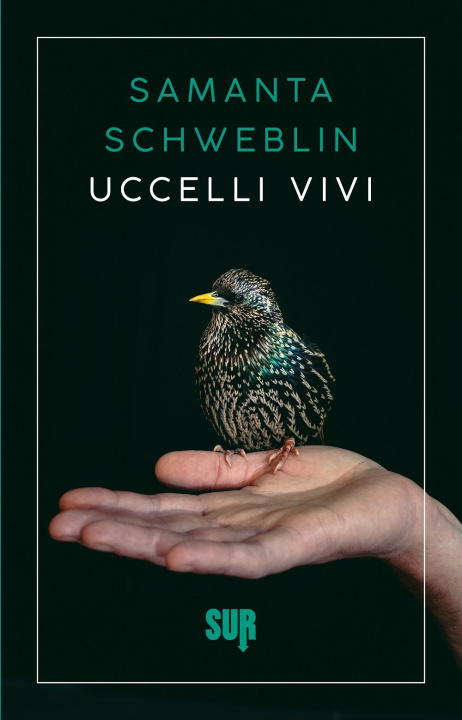 Kniha Uccelli vivi Samanta Schweblin