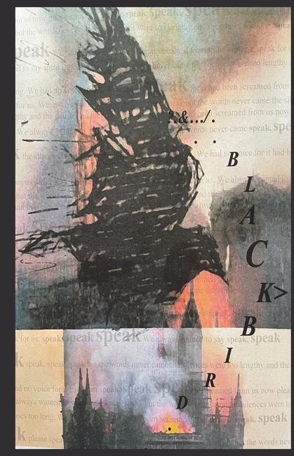 Boek Blackbird 16 David Stone