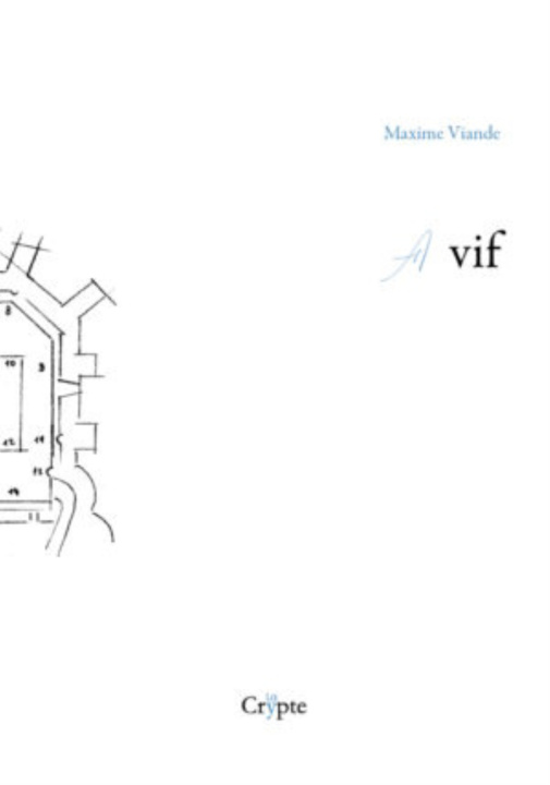 Knjiga A VIF VIANDE MAXIME