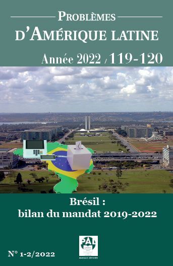 Kniha Brésil : bilan 201-2019 du mandat de Jair Bolsonaro SALAMA