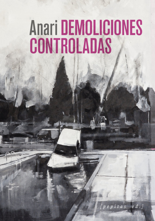Libro Demoliciones controladas ALBERDI SANTESTEBAN