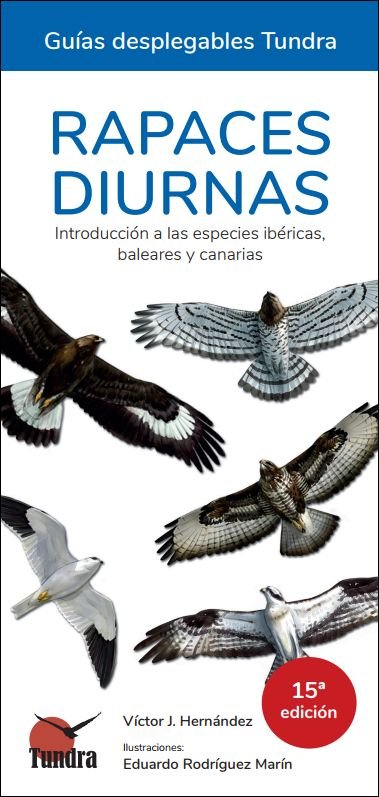 Könyv RAPACES DIURNAS 15º EDICION - GUIAS DESPLEGABLES TUNDRA HERNANDEZ