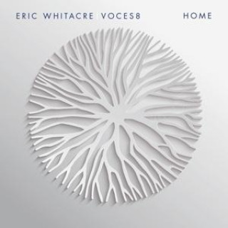 Zvok Home UNIVERSAL