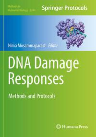 Buch DNA Damage Responses Nima Mosammaparast