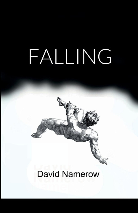 Knjiga FALLING David Namerow
