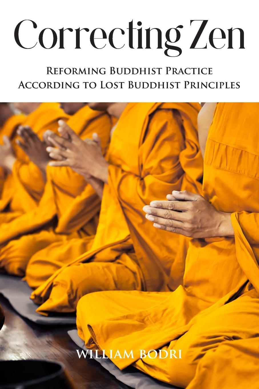 Boek Correcting Zen William Bodri