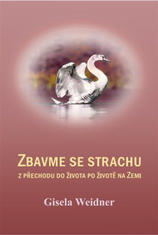 Boek Zbavme se strachu Gisela Weidner