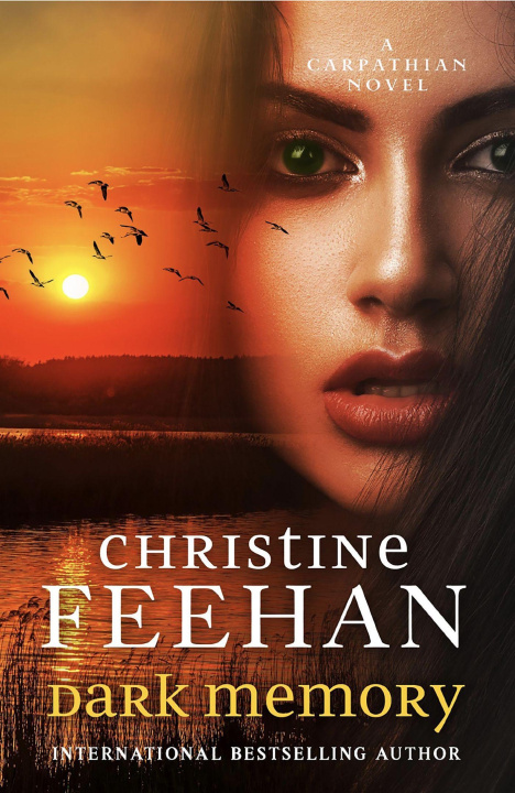 Kniha Dark Memory Christine Feehan