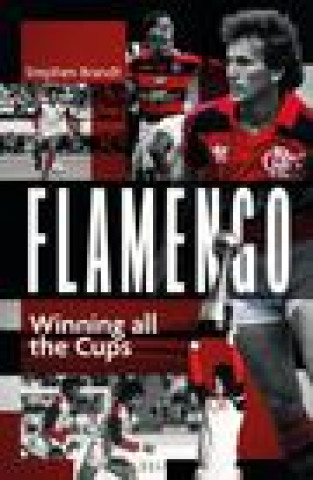 Kniha Flamengo Stephen Brandt