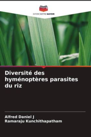 Książka Diversité des hyménopt?res parasites du riz Ramaraju Kunchithapatham