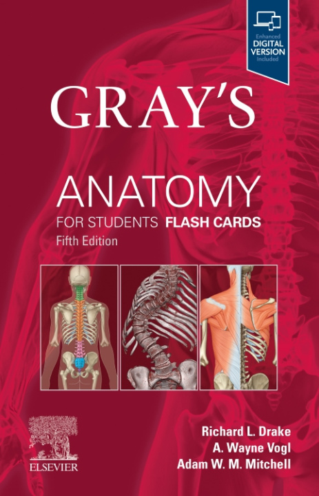 Játék Gray's Anatomy for Students Flash Cards Richard L. Drake