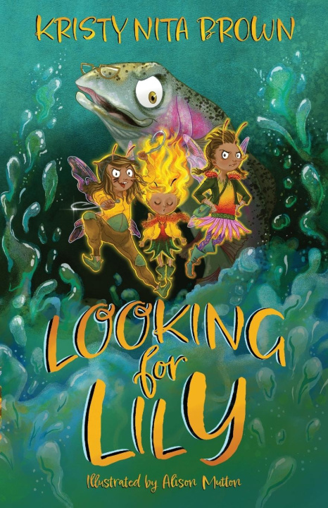 Boek Looking for Lily Kristy Nita Brown