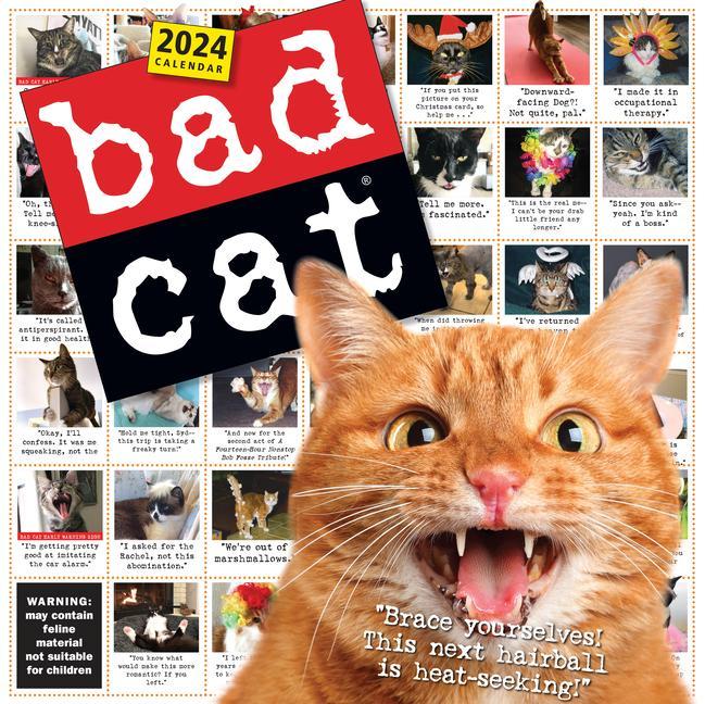 Calendar / Agendă Bad Cat Wall Calendar 2024 