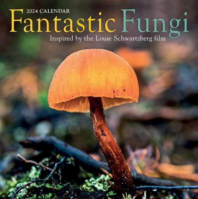 Календар/тефтер Fantastic Fungi Wall Calendar 2024 Louie Schwartzberg