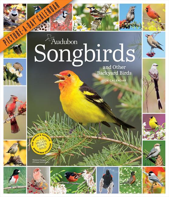 Kalendář/Diář Audubon Songbirds and Other Backyard Birds Picture-A-Day Wall Calendar 2024 National Audubon Society