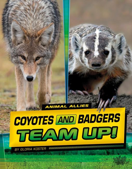 Buch Coyotes and Badgers Team Up! Koster