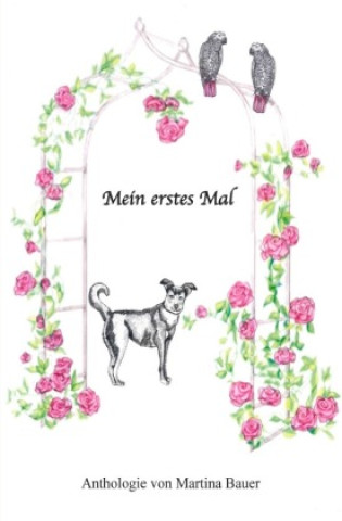 Knjiga Mein erstes Mal Martina Bauer