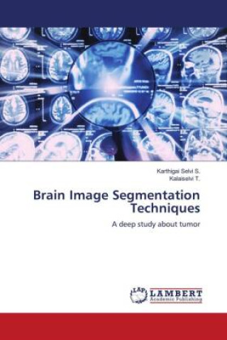 Knjiga Brain Image Segmentation Techniques Kalaiselvi T.