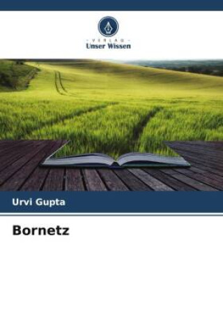 Knjiga Bornetz Urvi Gupta