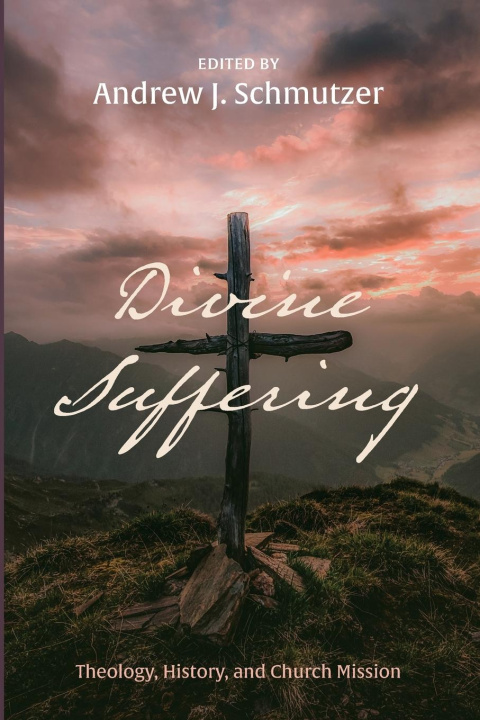 Buch Divine Suffering Andrew J. Schmutzer