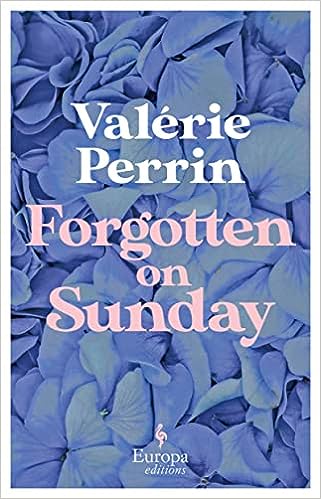 Kniha Forgotten on Sunday Hildegarde Serle