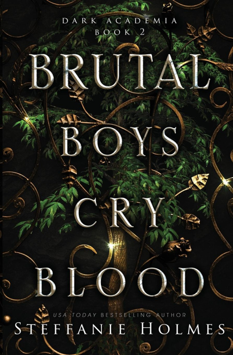 Kniha Brutal Boys Cry Blood Steffanie Holmes