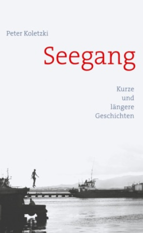 Knjiga Seegang 