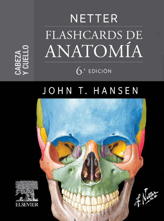 Kniha NETTER FLASHCARDS DE ANATOMIA CABEZA Y CUELLO 6ª ED HANSEN