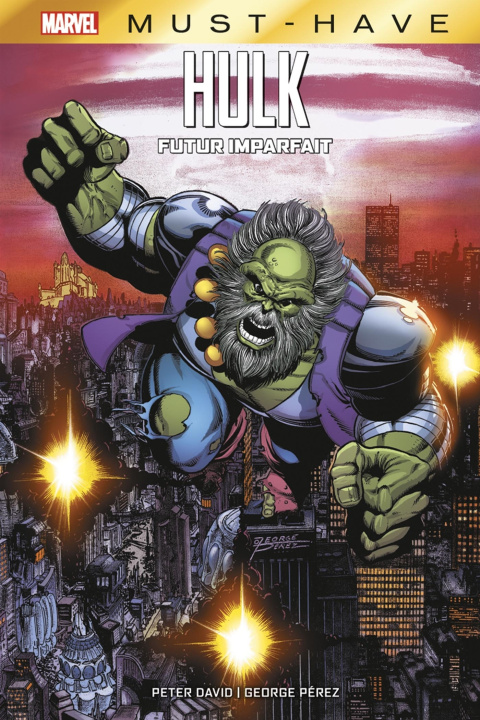 Kniha Hulk : Futur imparfait 