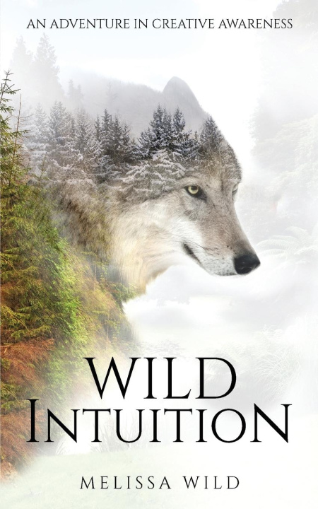 Buch Wild Intuition Wild