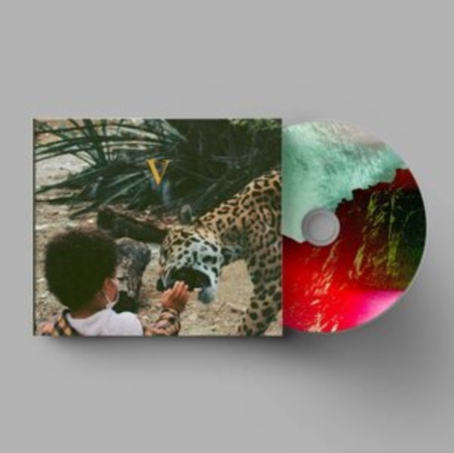 Zvok V Unknown Mortal Orchestra