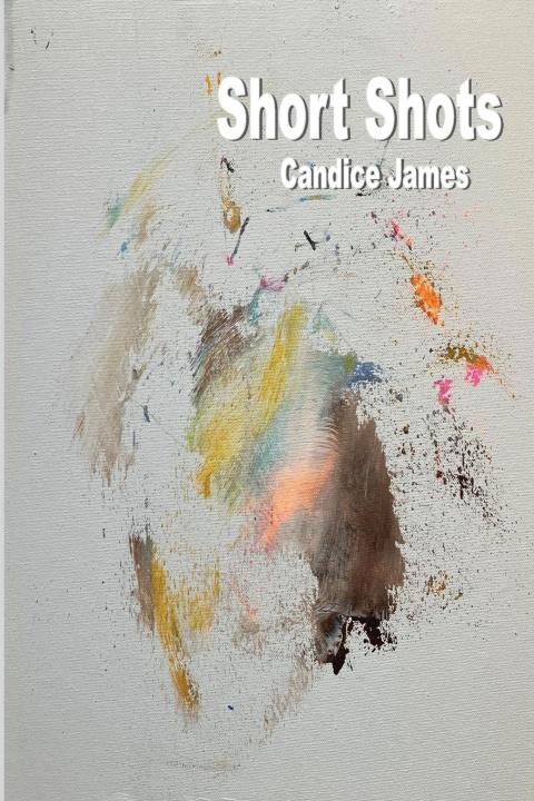 Buch Short Shots Candice James