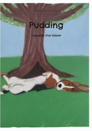 Knjiga Pudding Nolwen Gautier-Rosé