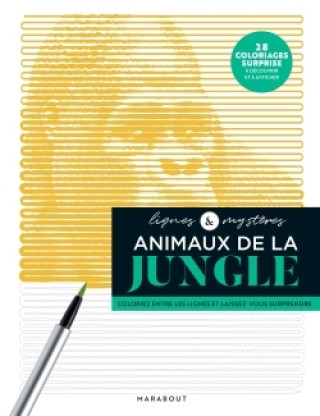 Kniha Lignes mystères - Animaux de la jungle 