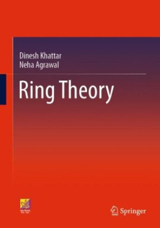 Buch Ring Theory Dinesh Khattar