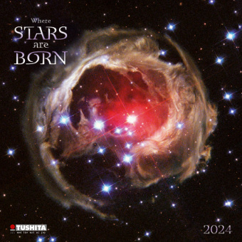 Calendar / Agendă Where Stars are Born 2024 