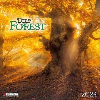 Naptár/Határidőnapló Deep Forest 2024 