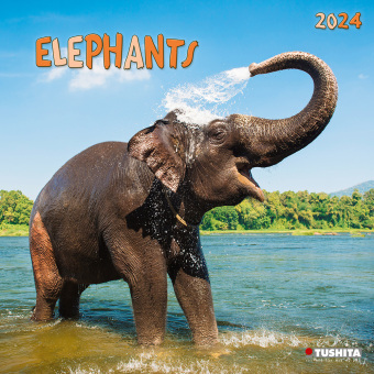 Calendar / Agendă Elephant Families 2024 