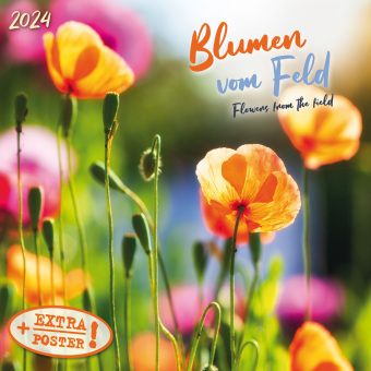 Calendar / Agendă Blumen vom Feld 2024 