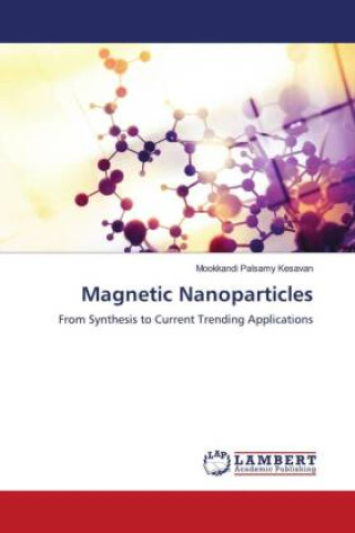 Buch Magnetic Nanoparticles 