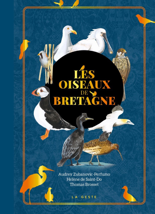 Kniha Les oiseaux de Bretagne Brosset