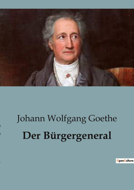 Buch Der Bürgergeneral Goethe
