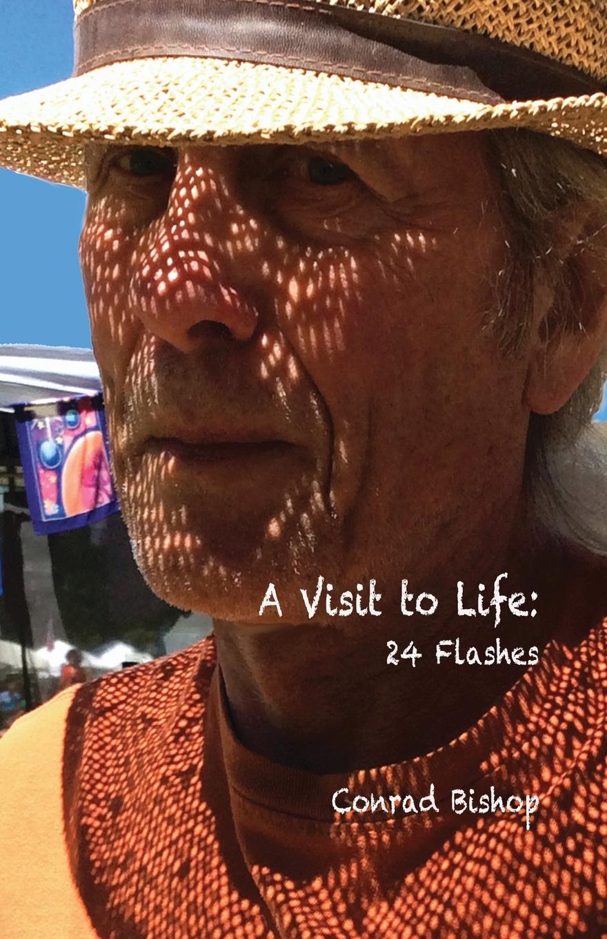 Livre A Visit to Life Conrad Bishop