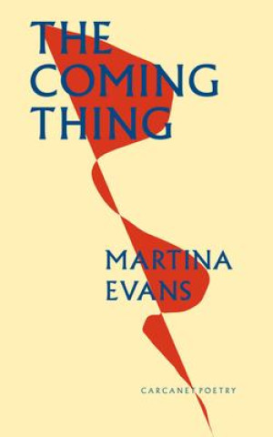 Boek Coming Thing Martina Evans