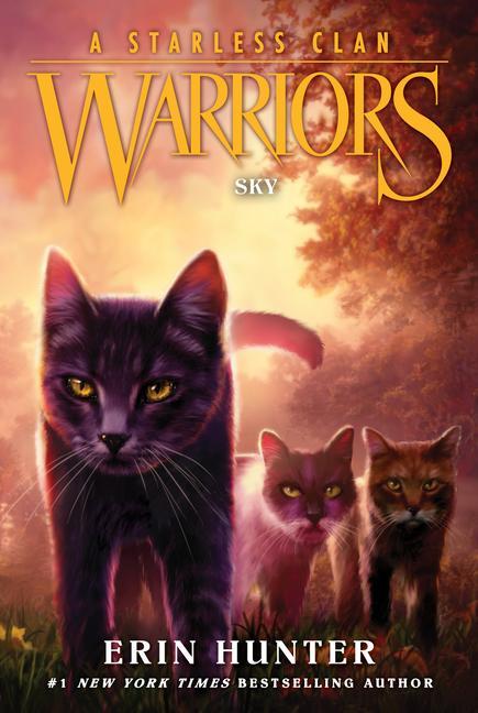 Könyv Warriors: A Starless Clan #2: Sky 