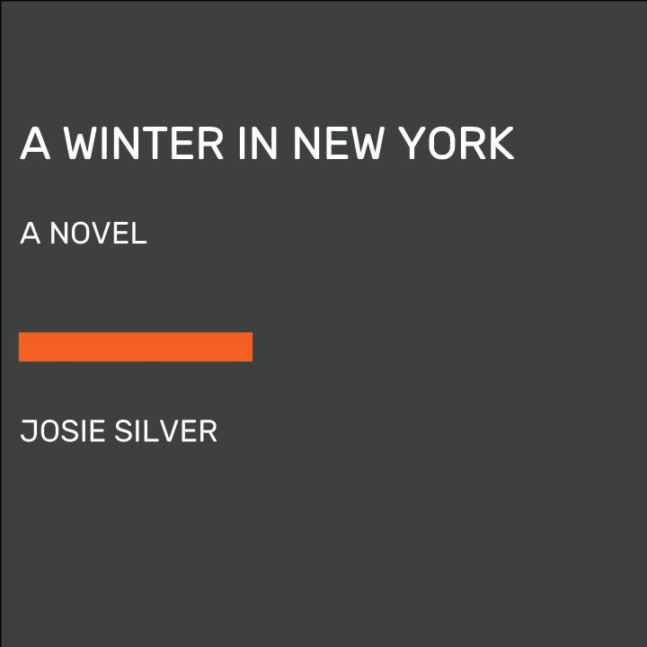 Könyv A Winter in New York 