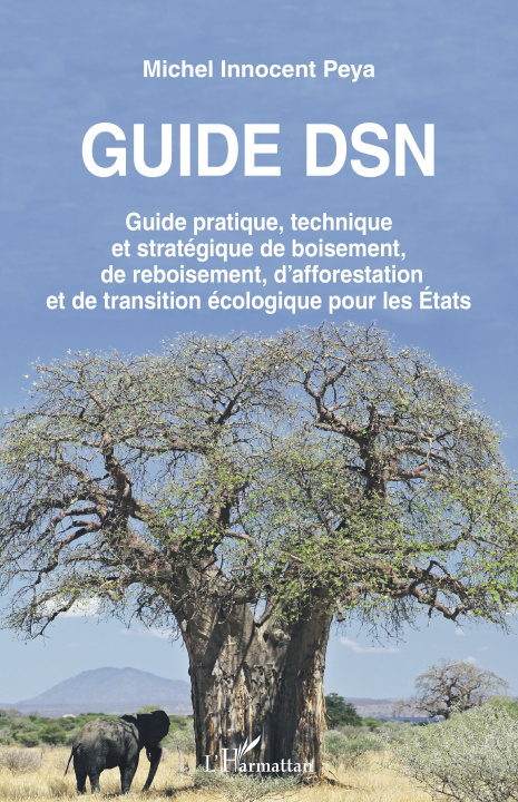Buch Guide DSN Peya