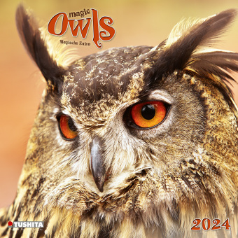Календар/тефтер Magic Owls 2024 